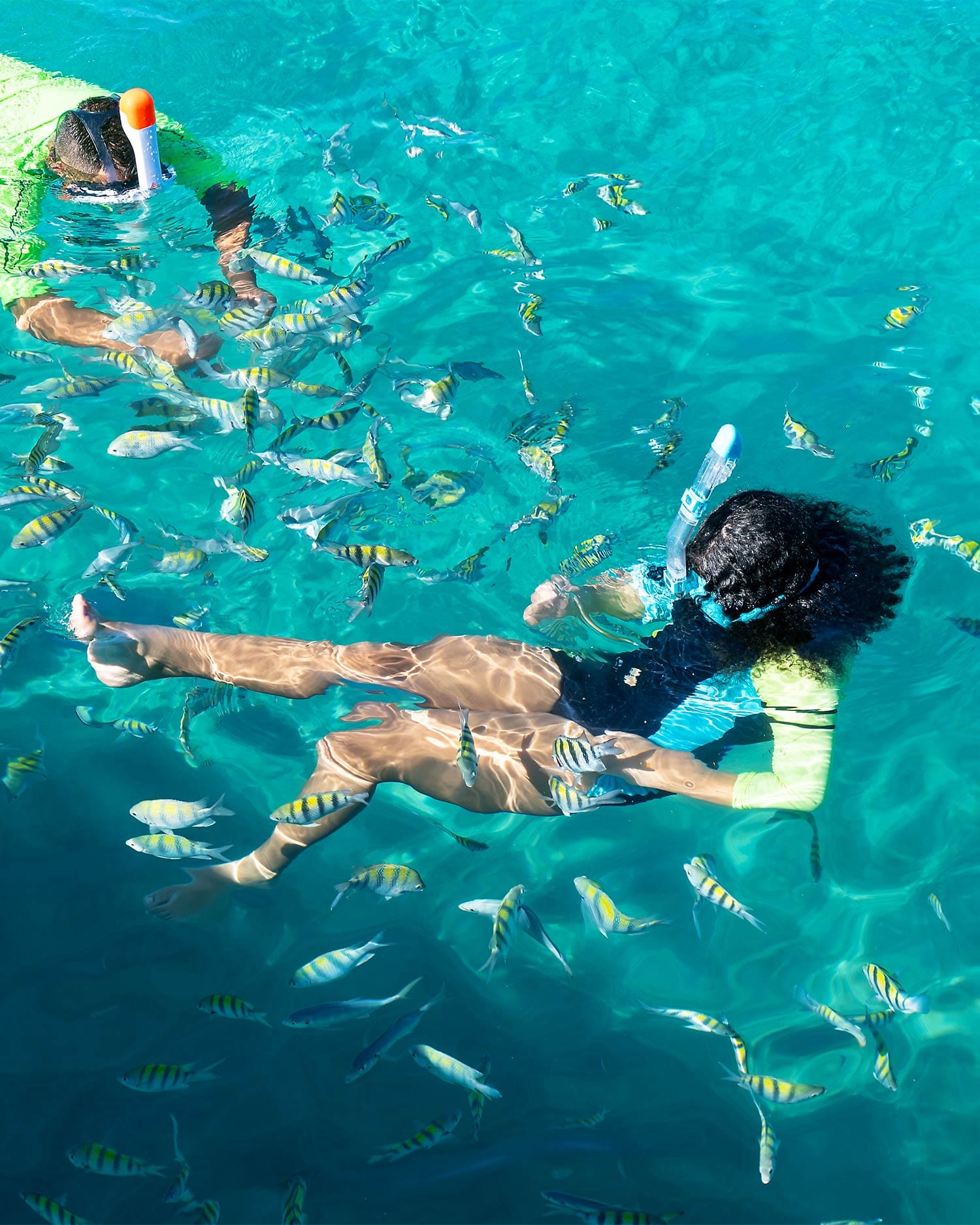 Snorkelers swimming in clear turquoise water surrounded by colorful tropical fish off the coast of Puerto Rico.
