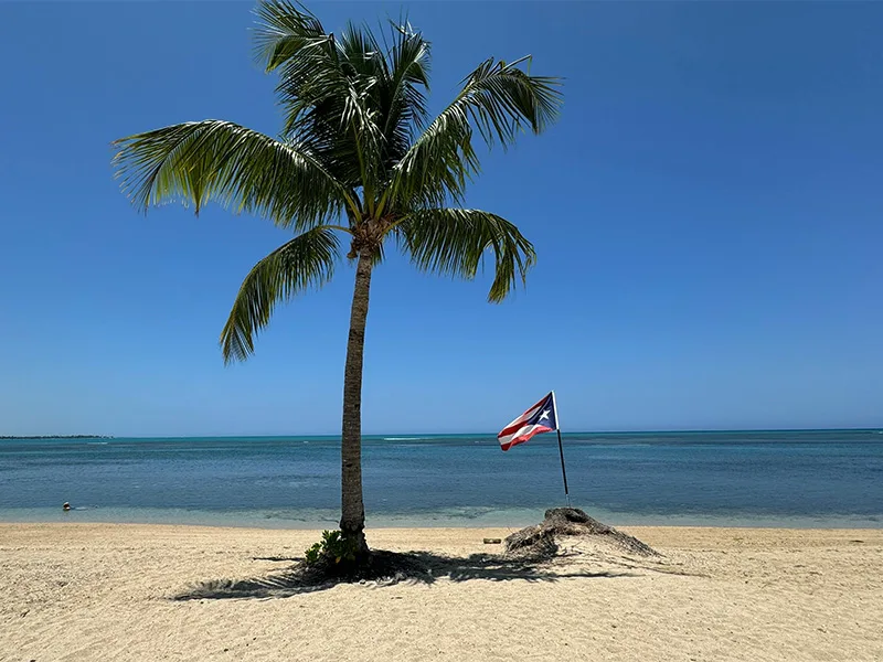 Palm tree and Puerto Rican flag on the sandy beach with turquoise ocean at Coquí Hideaway